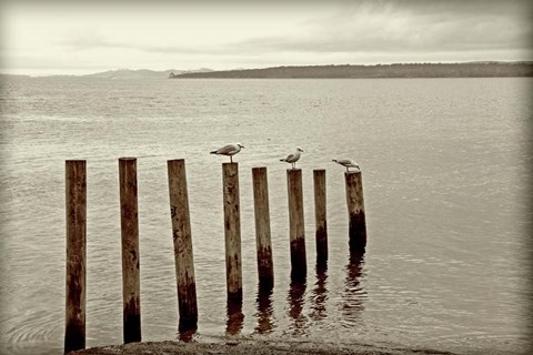 Framed Moments Passing By Print