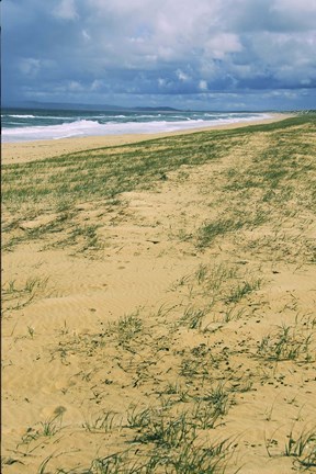 Framed Postcard  From Australia Print