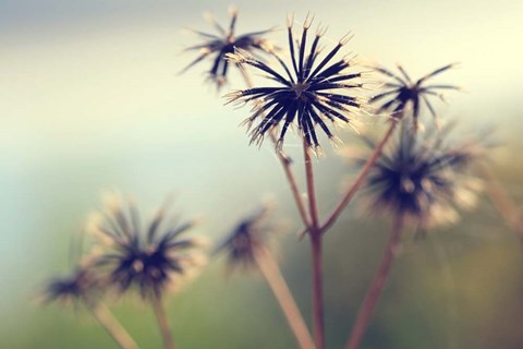 Framed Yesterday Print