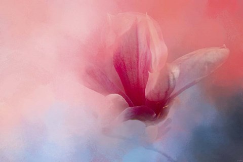 Framed Spring Tulip Magnolia Print