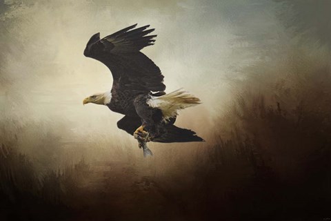 Framed Fish Tail Print