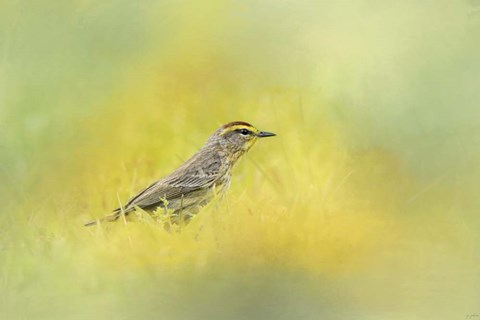 Framed Welcome New Friend Print