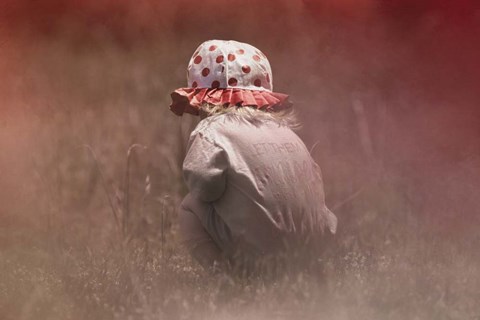 Framed Looking For Flowers Print