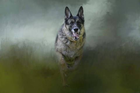 Framed Racing The Storm Print