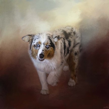 Framed Ball Of Energy Australian Shepherd Print