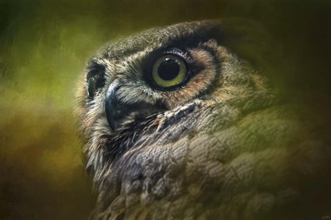 Framed Great Horned Owl In The Grove Print