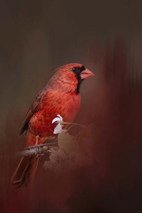 Framed Cardinal In Antique Red Print