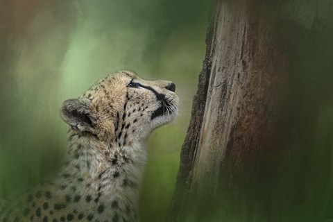 Framed Facing Challenges Print