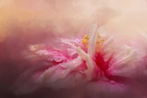 Framed Rain Diamonds Print