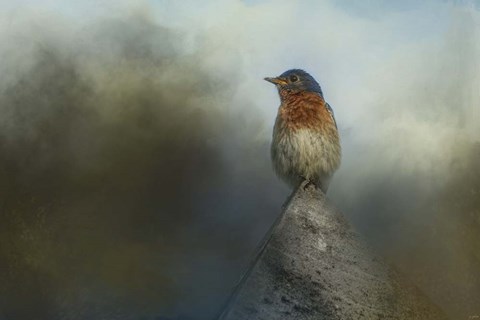 Framed Highest Point Print