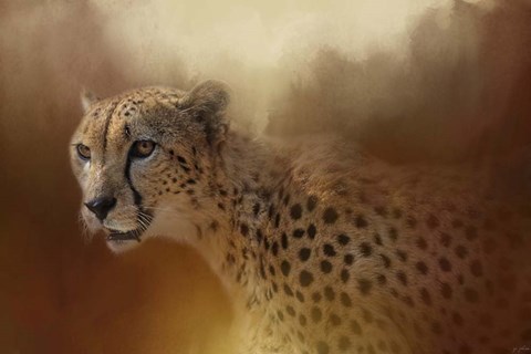 Framed One With The Sun Print