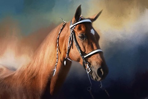 Framed Bathed In The Evening Light Print