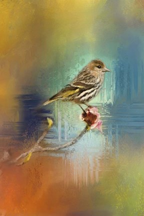 Framed Many Colors Print