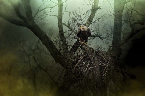 Framed Storm At The Old Nest Print