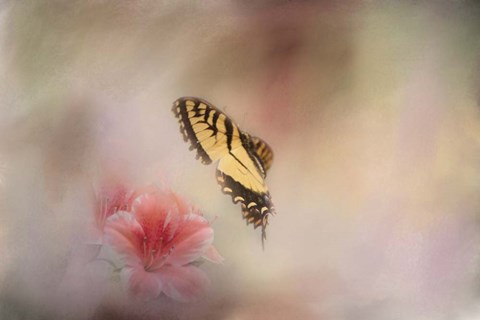 Framed Whisper Of Yellow Print