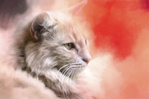 Framed Bird Watching In The Morning Print