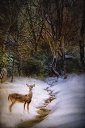 Framed Buck At Snowy Creek Print