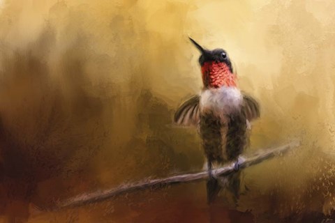 Framed Get Up And Dance Print