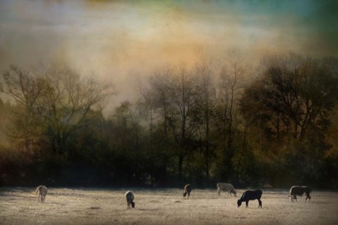 Framed Peaceful Tennessee Morning Print