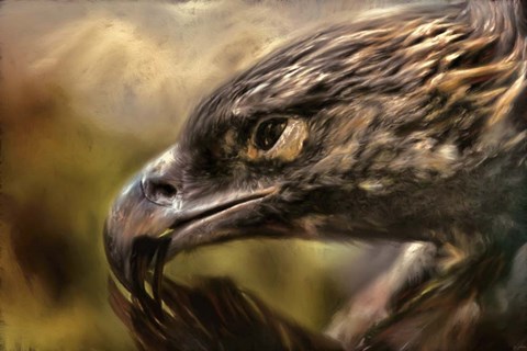 Framed Preening Print