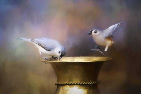 Framed Afternoon Playtime Print