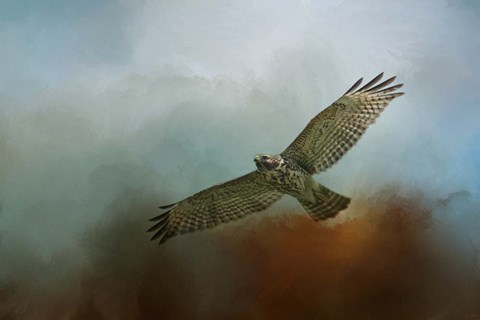 Framed Red Shoulder In Autumn Print