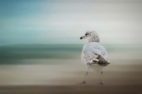 Framed Waiting For The Tide Print