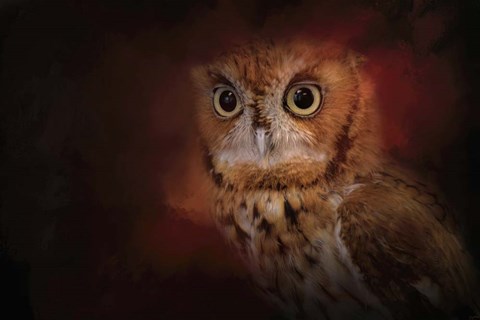 Framed Halloween Owl Print