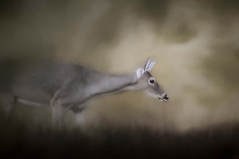 Framed Hesitation Print