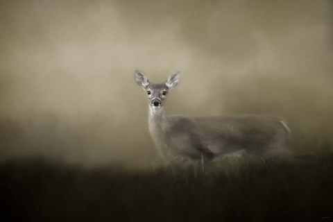 Framed Young and Alert Print