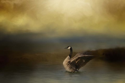 Framed Autumn Afternoon Splash Print