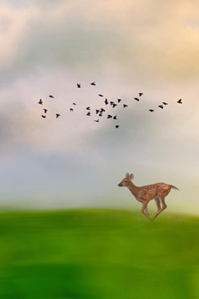 Framed Racing Wings Print