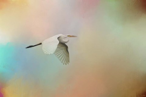 Framed Silent Beauty Print