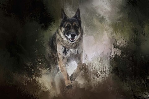 Framed To The Rescue Print