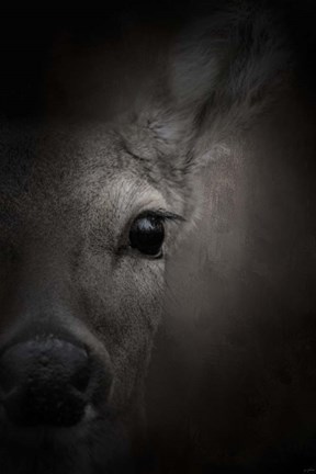 Framed Watching Print