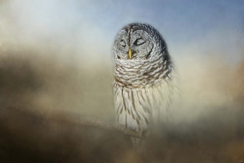 Framed Daydreaming Print