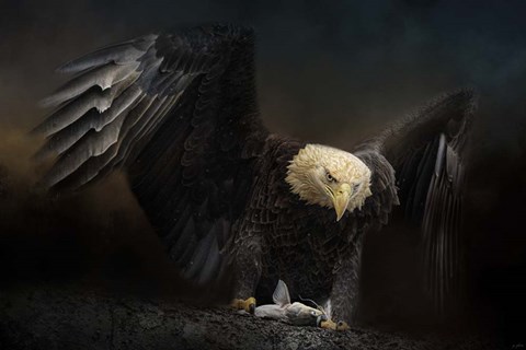 Framed Fresh Catch Print