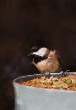 Framed Hanging On The Edge Print