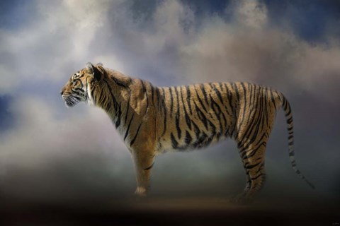 Framed Waiting In The Light Print