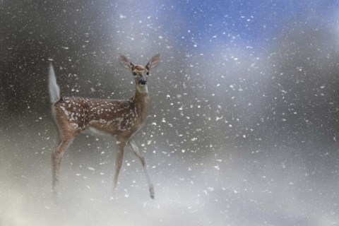 Framed Step Out In Faith Print