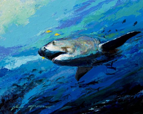 Framed Mighty Bull Shark Print