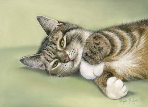 Framed Green Eyes Print