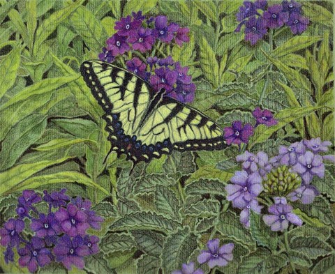 Framed Serendipity Print