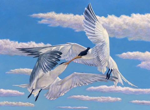 Framed Flying Kiss Print