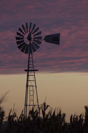 Framed Windmill Print
