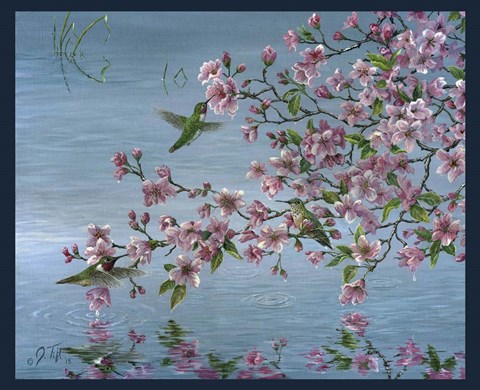 Framed Broad Tailed Hummer Print