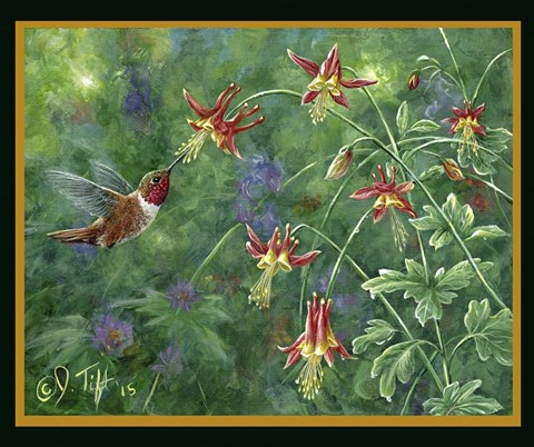 Framed Rufous Hummingbird Print