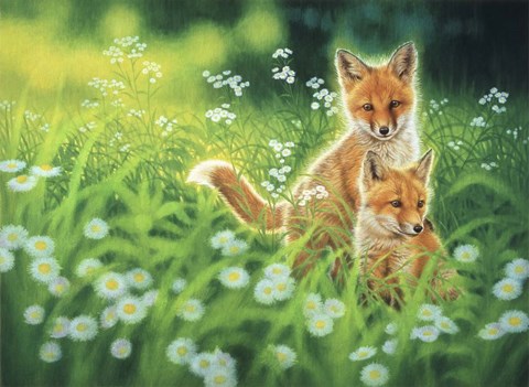 Framed Fresh Breeze Print