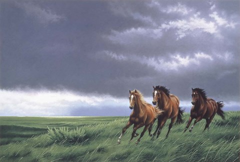 Framed On The Way Home Print