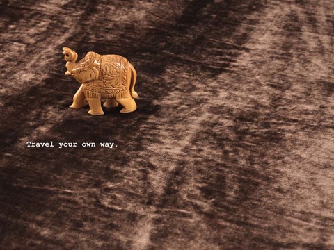 Framed Elephane Print